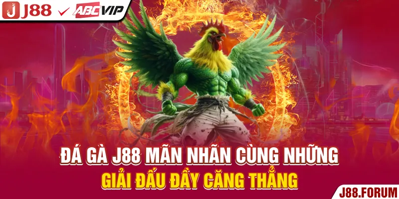 Đá gà J88