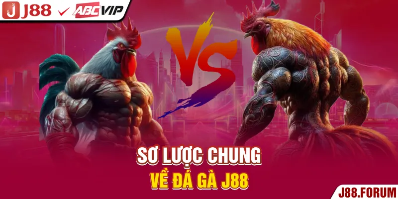 Đá Gà J88 - Mãn Nhãn Cùng Những Giải Đấu Đầy Căng Thẳng Sơ lược chung về đá gà J88