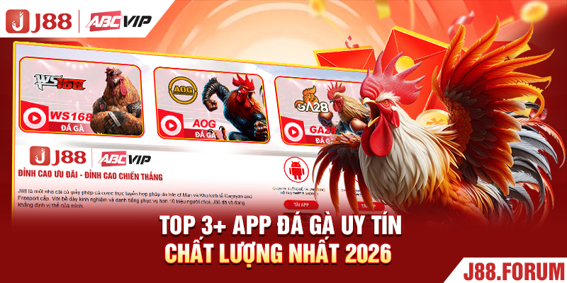 App Đá Gà Uy Tín - Trải Nghiệm Siêu Mượt Mà, An Toàn Top 3+ app đá gà uy tín, chất lượng nhất 2026