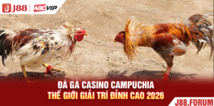 Đá Gà Casino Campuchia - Thế Giới Giải Trí Đỉnh Cao 2026