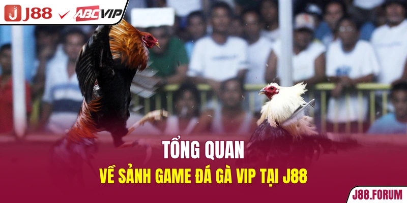 Đá Gà Vip - Sảnh Game Đổi Thưởng Thắng Lớn Tại J88 Tổng quan về sảnh game đá gà vip tại J88