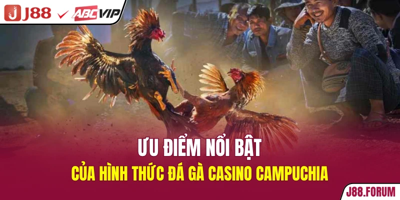Đá Gà Casino Campuchia - Thế Giới Giải Trí Đỉnh Cao 2026 Ưu điểm nổi bật của hình thức đá gà casino Campuchia
